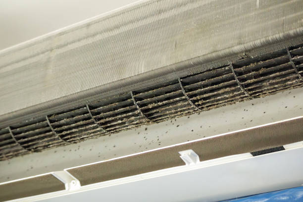 Best HVAC Duct Inspection Services  in Forest Acres, SC